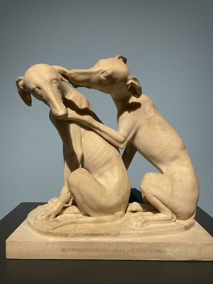 Roman Statue Of Two Greyhounds, Found Chilling In A Roman Villa