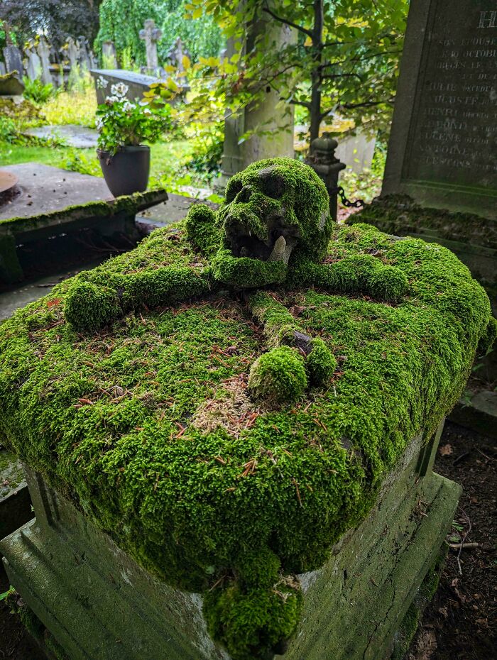 Mossy Gravestone Of A Wine Merchant From 1763-1837—Nature’s Own Decoration