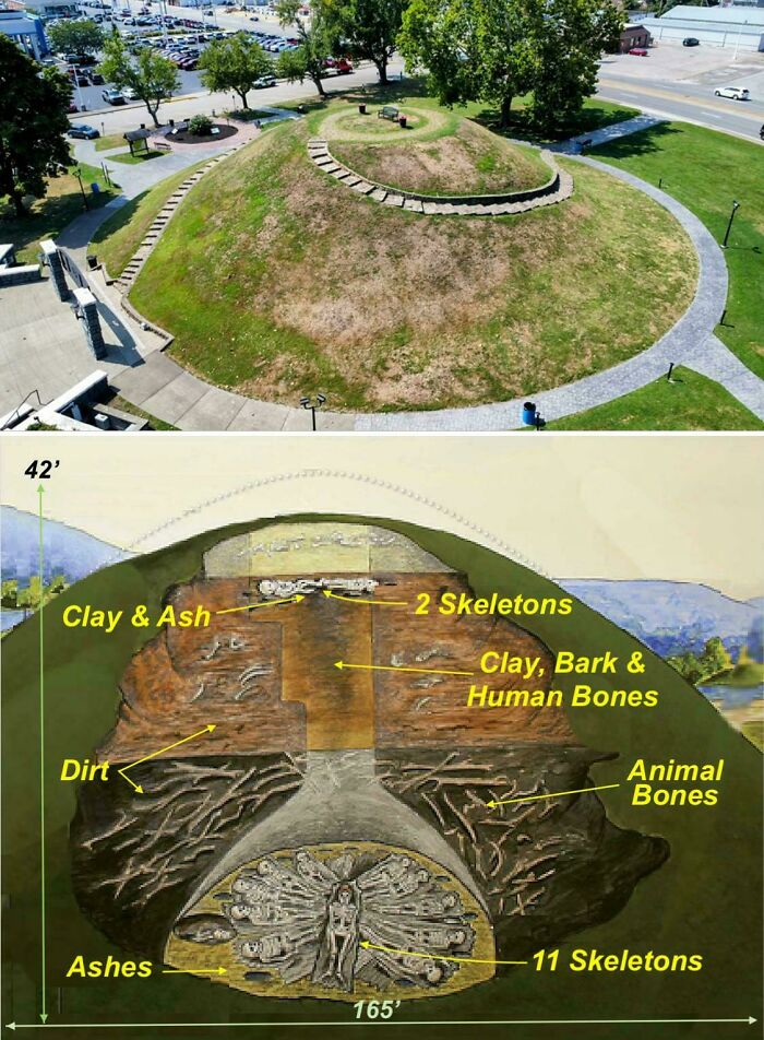 The Criel Mound: 13 Ancient Skeletons Buried In West Virginia