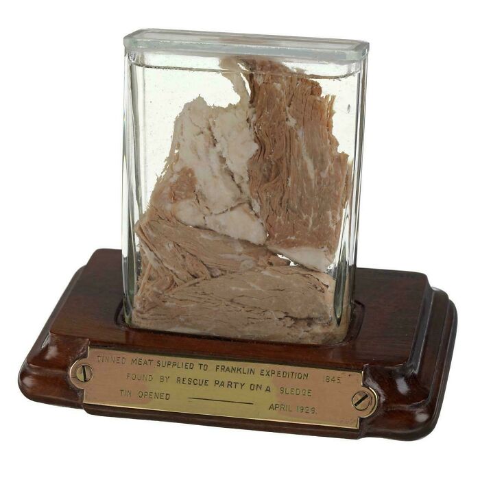 Preserved Meat From The Franklin Expedition: A Taste Of Arctic History