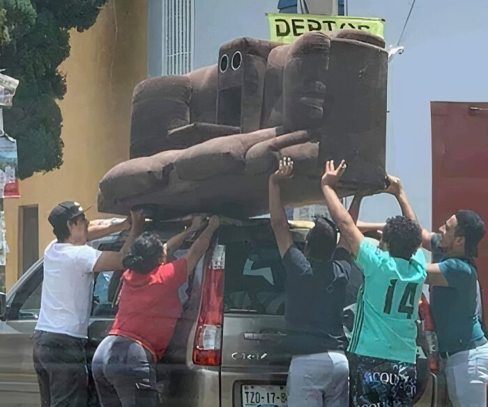 The Couch Is Not Impressed By Your Plans