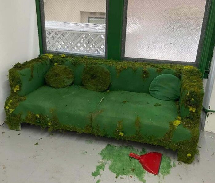 "Moss Couch"—It’s Alive and Sitting!