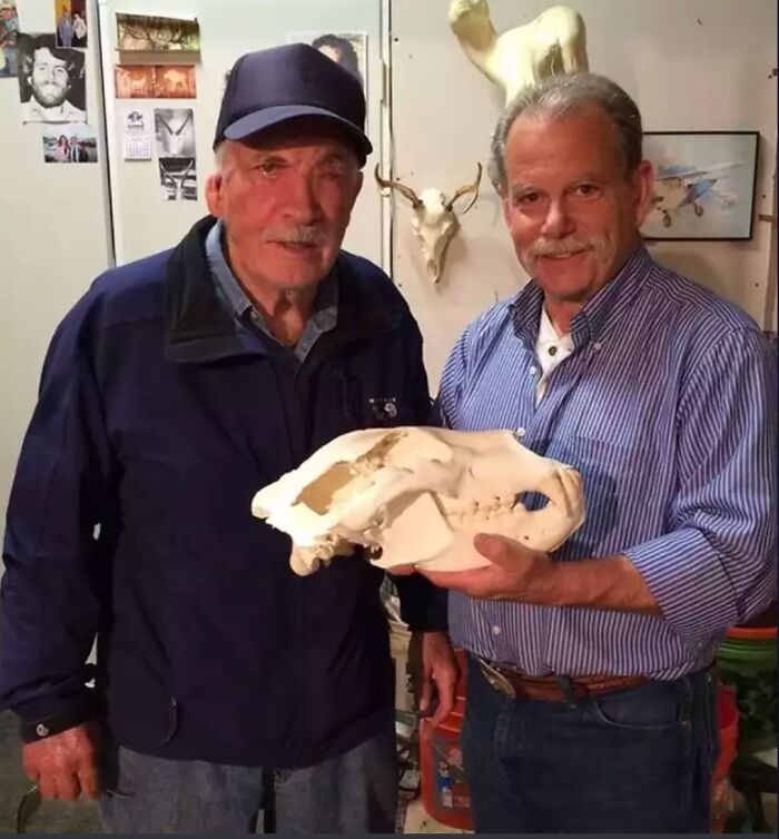 Chilling With The Skull Of The Bear That Took His Eye