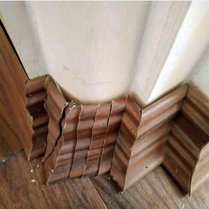 Scene That Hurts the Eyes