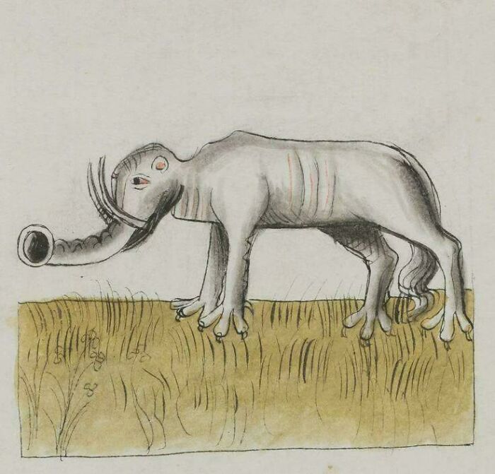 Medieval Elephant Drawing: Close Enough?