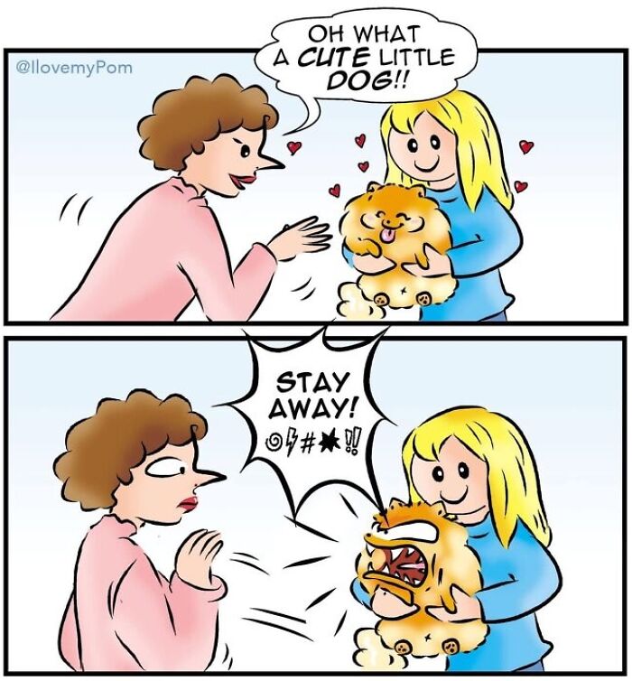 These Hilarious Comics Totally Nail Life With a Pomeranian (Prepare to LOL)