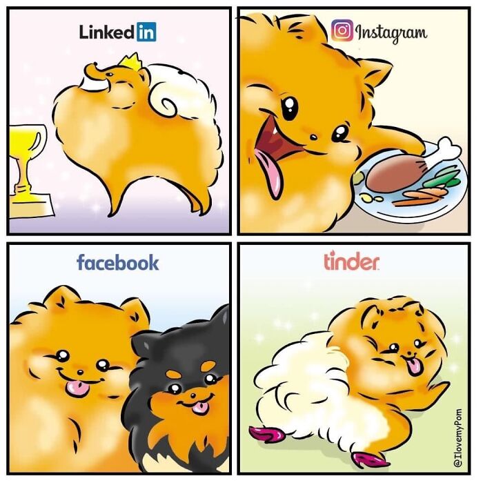 These Hilarious Comics Totally Nail Life With a Pomeranian (Prepare to LOL)