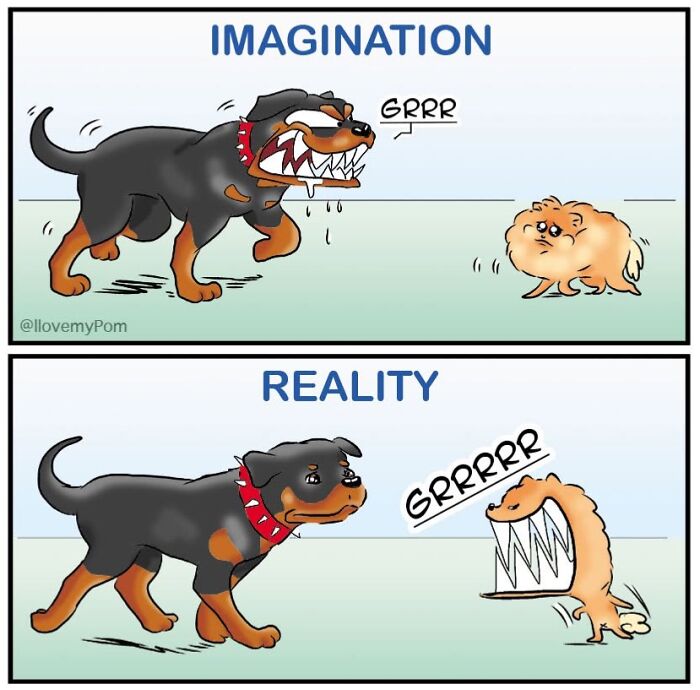 These Hilarious Comics Totally Nail Life With a Pomeranian (Prepare to LOL)