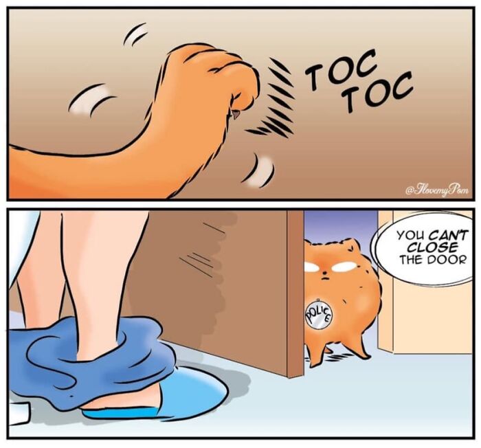 These Hilarious Comics Totally Nail Life With a Pomeranian (Prepare to LOL)