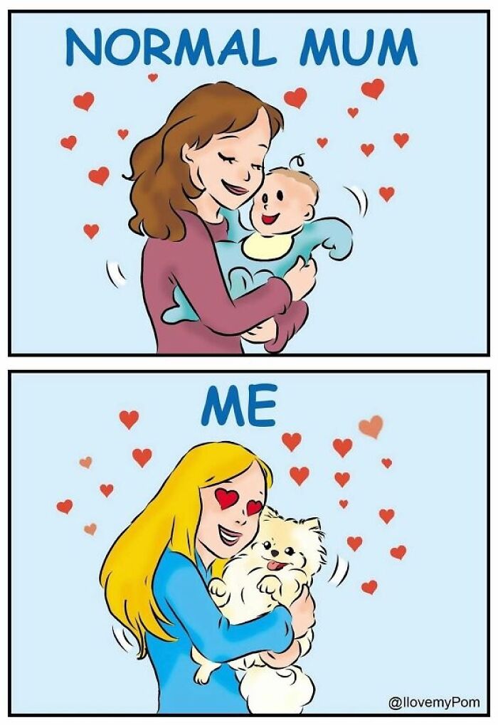 These Hilarious Comics Totally Nail Life With a Pomeranian (Prepare to LOL)