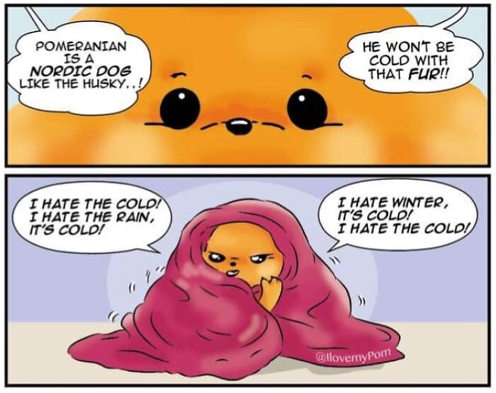 These Hilarious Comics Totally Nail Life With a Pomeranian (Prepare to LOL)