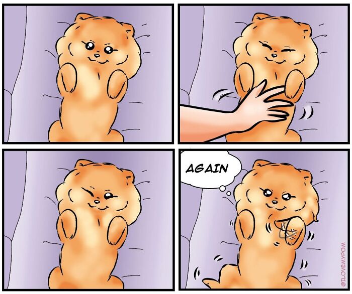 These Hilarious Comics Totally Nail Life With a Pomeranian (Prepare to LOL)