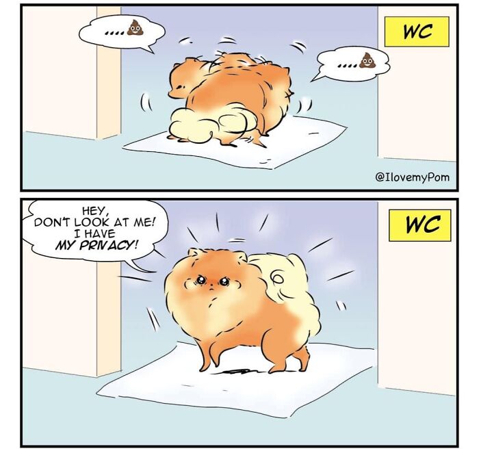 These Hilarious Comics Totally Nail Life With a Pomeranian (Prepare to LOL)