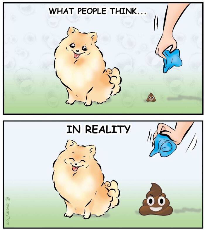 These Hilarious Comics Totally Nail Life With a Pomeranian (Prepare to LOL)