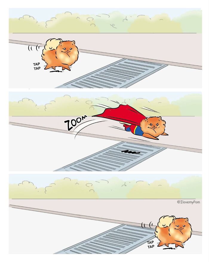 These Hilarious Comics Totally Nail Life With a Pomeranian (Prepare to LOL)