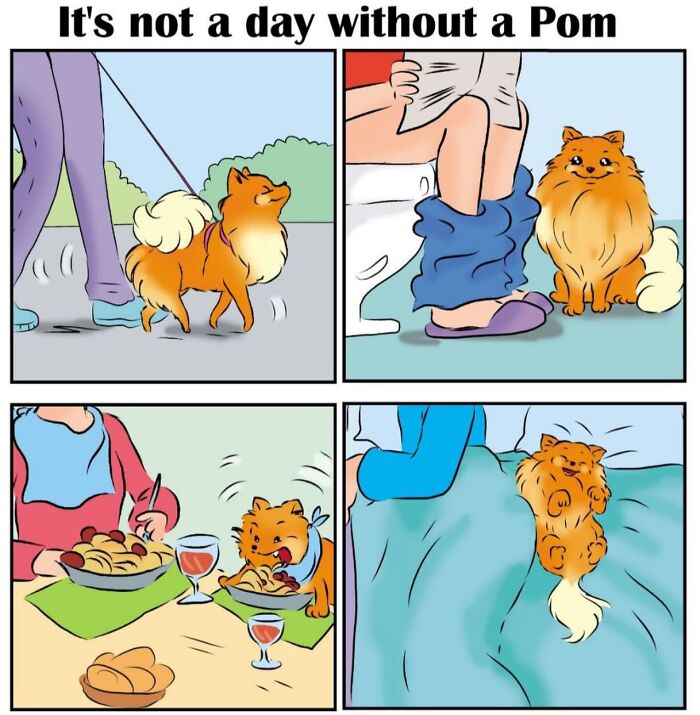 These Hilarious Comics Totally Nail Life With a Pomeranian (Prepare to LOL)