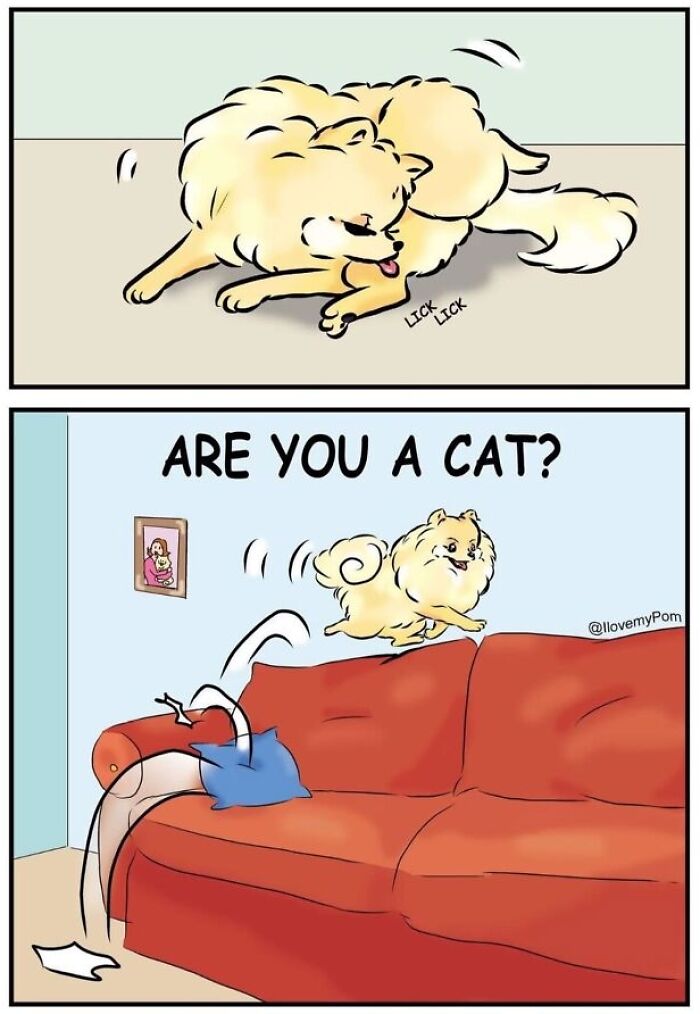 These Hilarious Comics Totally Nail Life With a Pomeranian (Prepare to LOL)
