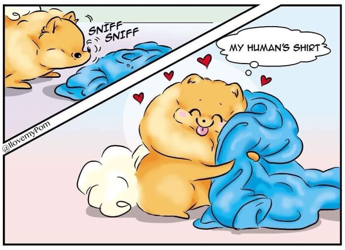 These Hilarious Comics Totally Nail Life With a Pomeranian (Prepare to LOL)