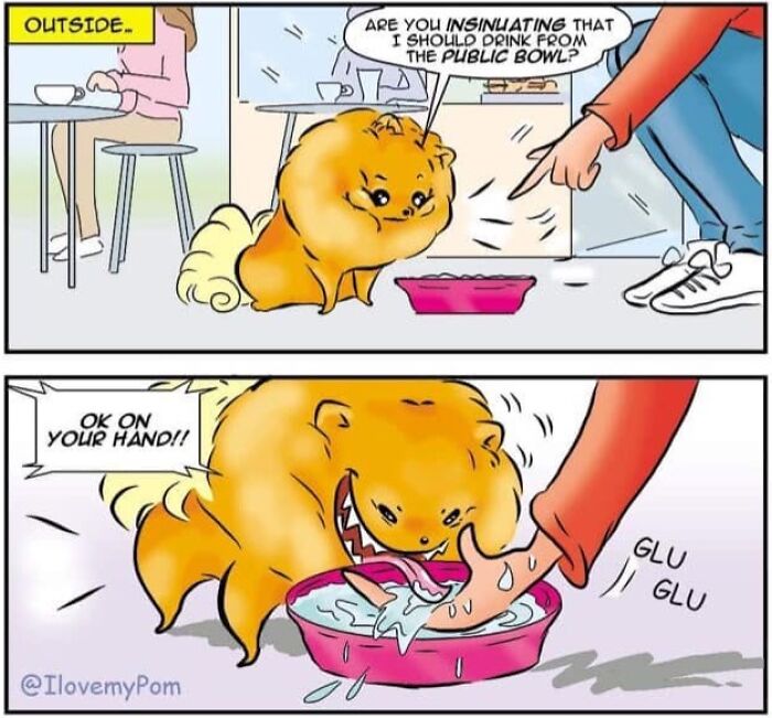 These Hilarious Comics Totally Nail Life With a Pomeranian (Prepare to LOL)