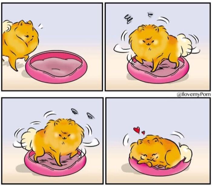 These Hilarious Comics Totally Nail Life With a Pomeranian (Prepare to LOL)