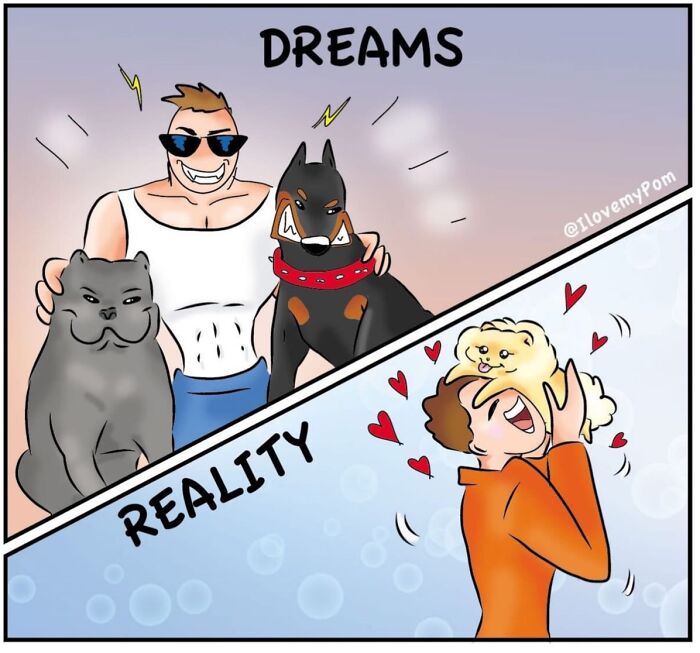 These Hilarious Comics Totally Nail Life With a Pomeranian (Prepare to LOL)