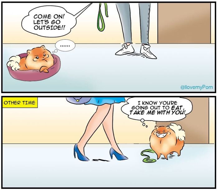 These Hilarious Comics Totally Nail Life With a Pomeranian (Prepare to LOL)