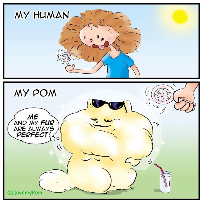 These Hilarious Comics Totally Nail Life With a Pomeranian (Prepare to LOL)