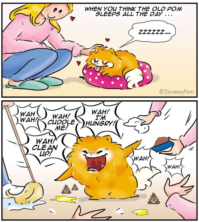These Hilarious Comics Totally Nail Life With a Pomeranian (Prepare to LOL)