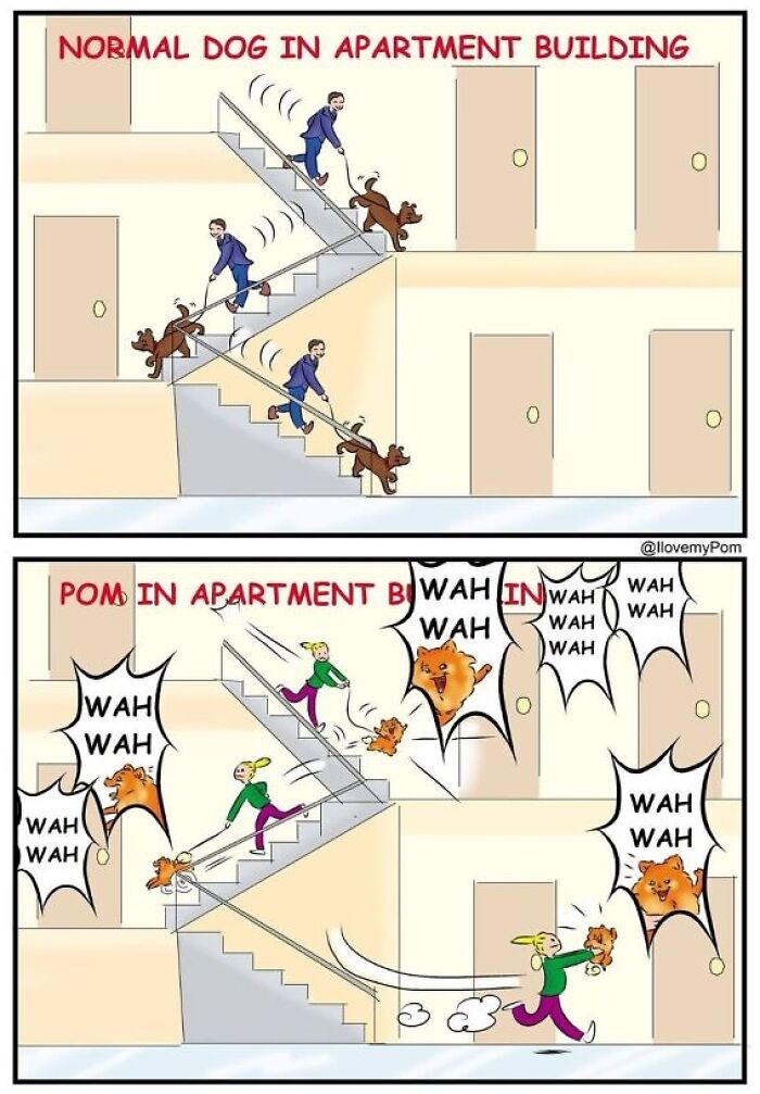 These Hilarious Comics Totally Nail Life With a Pomeranian (Prepare to LOL)