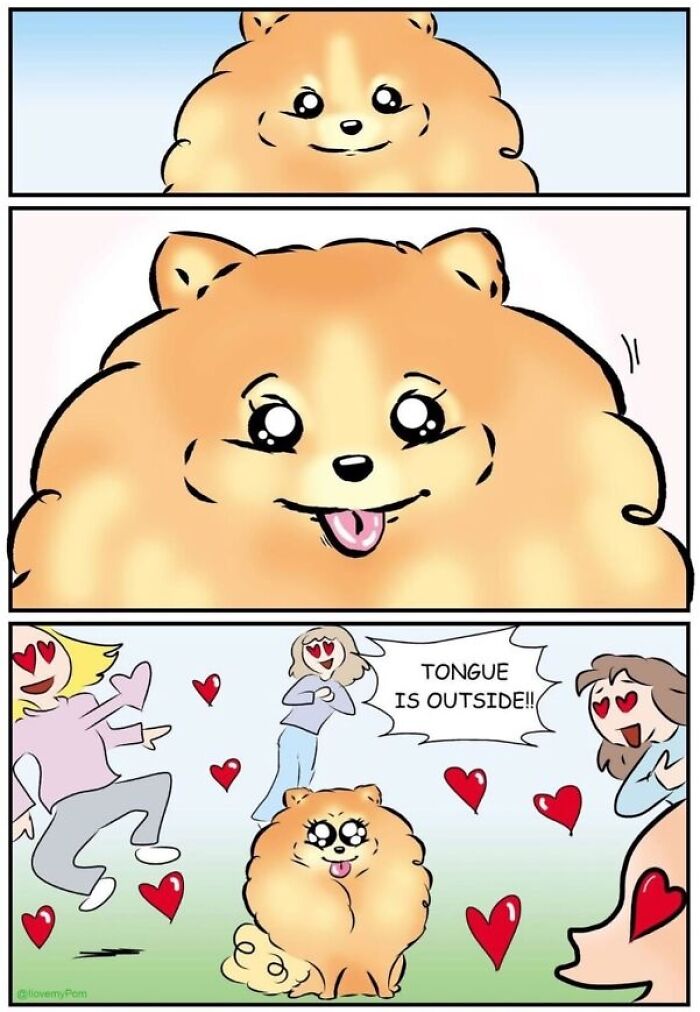 These Hilarious Comics Totally Nail Life With a Pomeranian (Prepare to LOL)