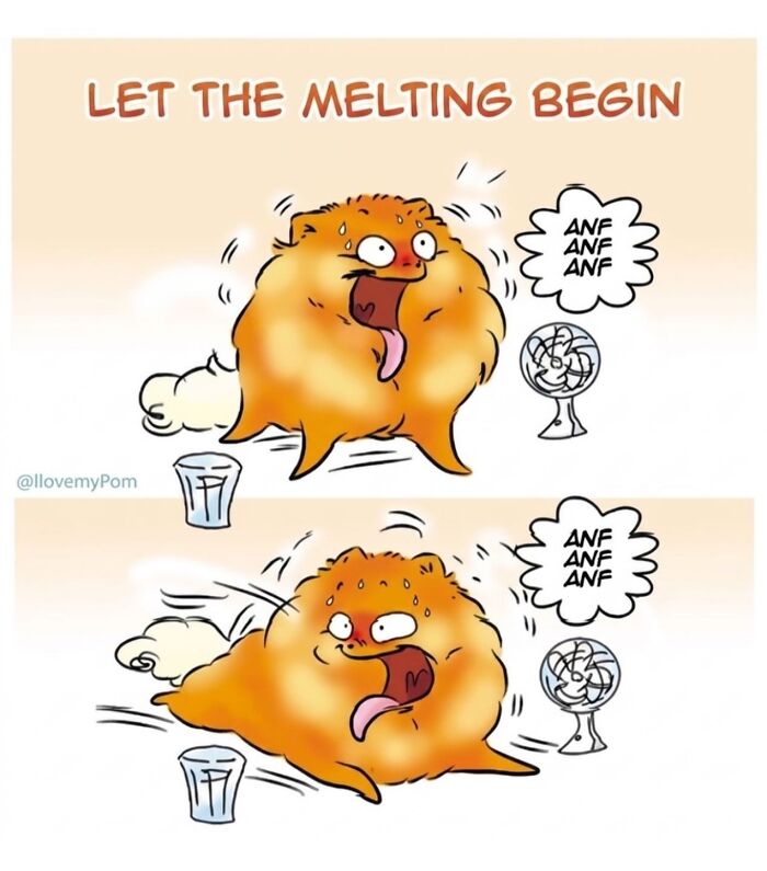 These Hilarious Comics Totally Nail Life With a Pomeranian (Prepare to LOL)
