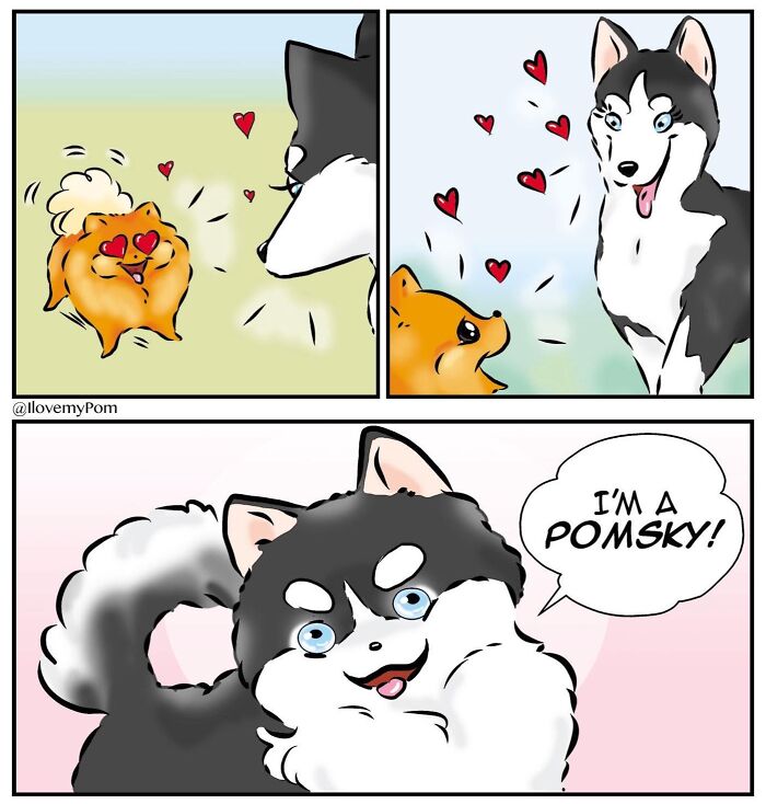 These Hilarious Comics Totally Nail Life With a Pomeranian (Prepare to LOL)