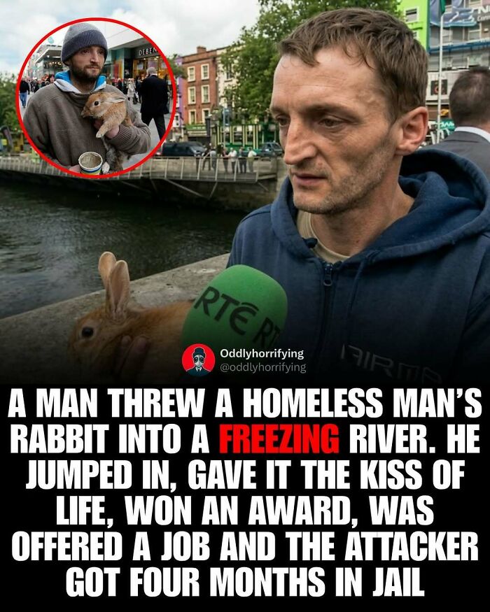 Wait, They Actually Counted These Creepy Real-Life Stories?