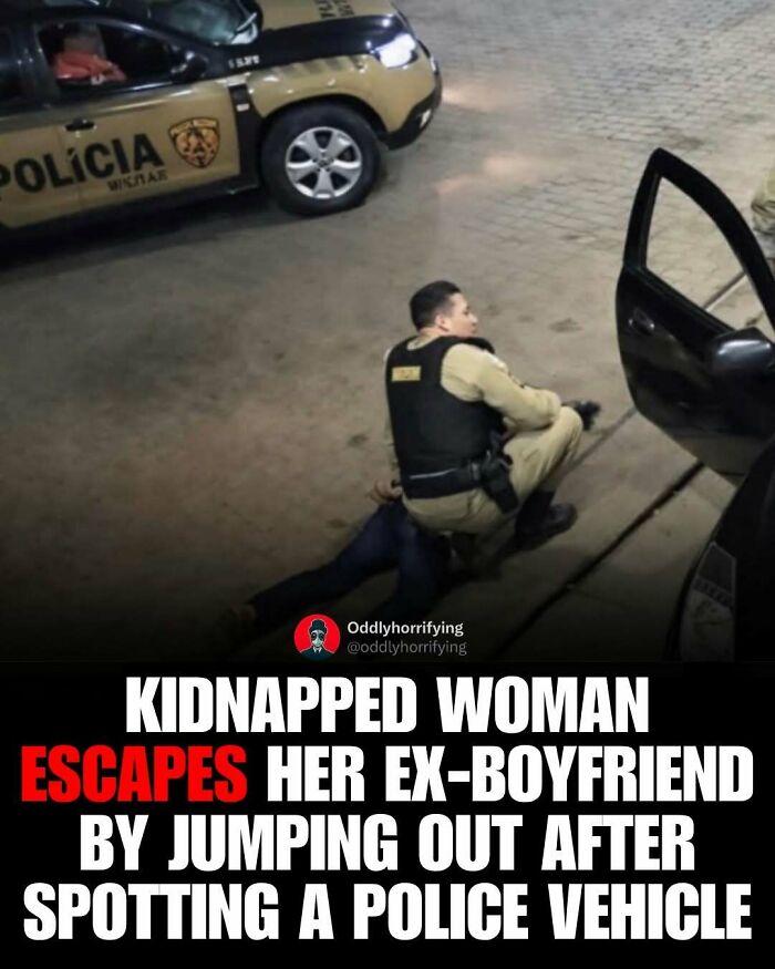 Wait, They Actually Counted These Creepy Real-Life Stories?