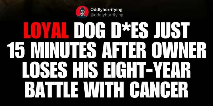 Wait, They Actually Counted These Creepy Real-Life Stories?