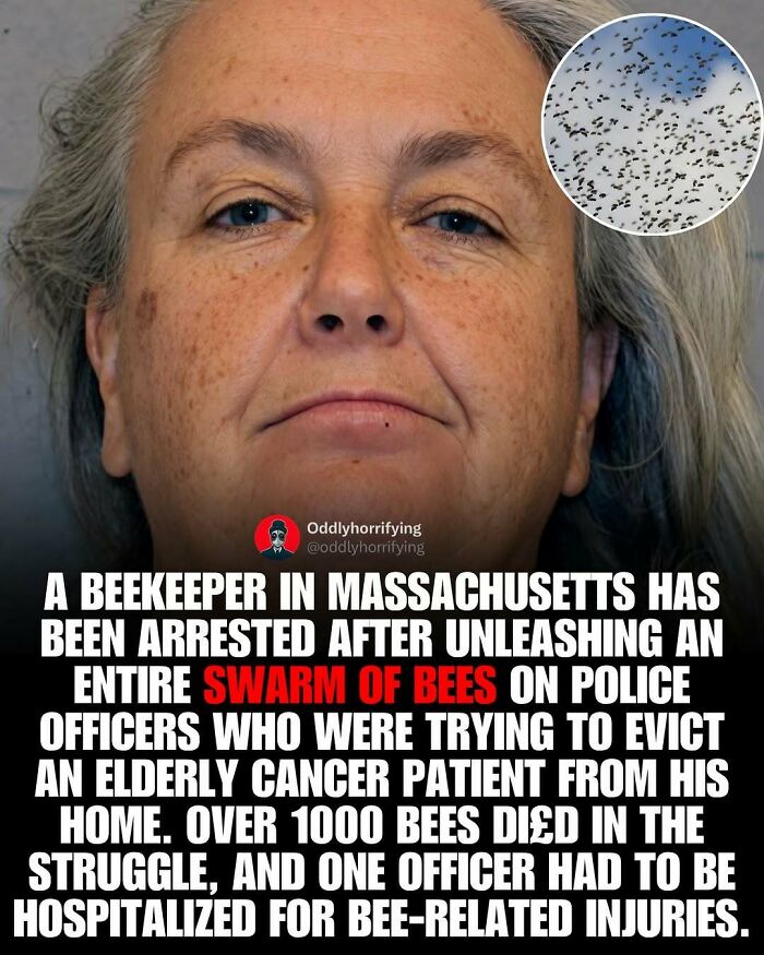 Wait, They Actually Counted These Creepy Real-Life Stories?
