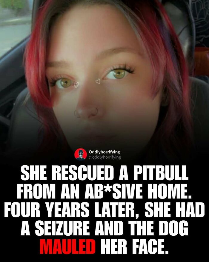 Wait, They Actually Counted These Creepy Real-Life Stories?