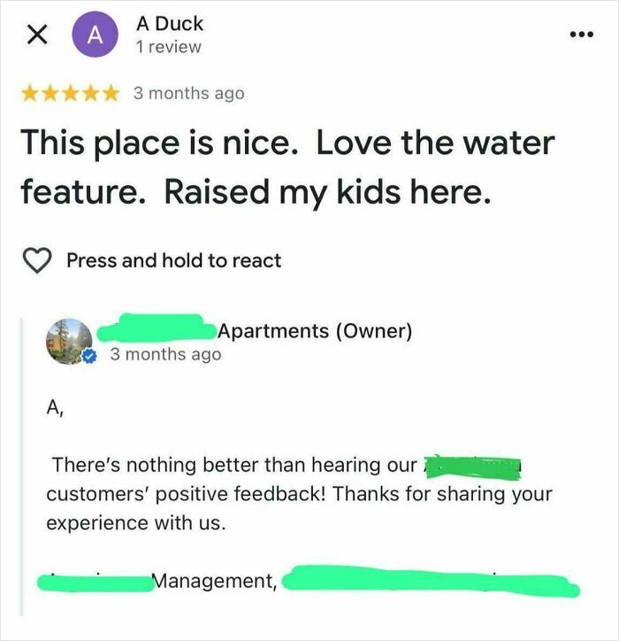 The Ducks Love The Water Feature (Or Do They?)