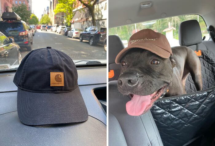 A New Carhartt Baseball Cap That’ll Replace Those Old Worn-Out Hats Faster Than You Can Say 'Dad Style'