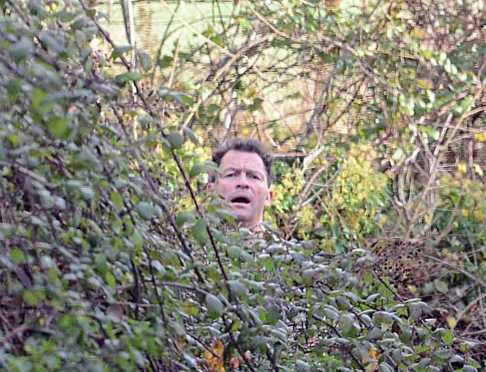 Wait, They Actually Ranked These Celebrity Meltdowns?!