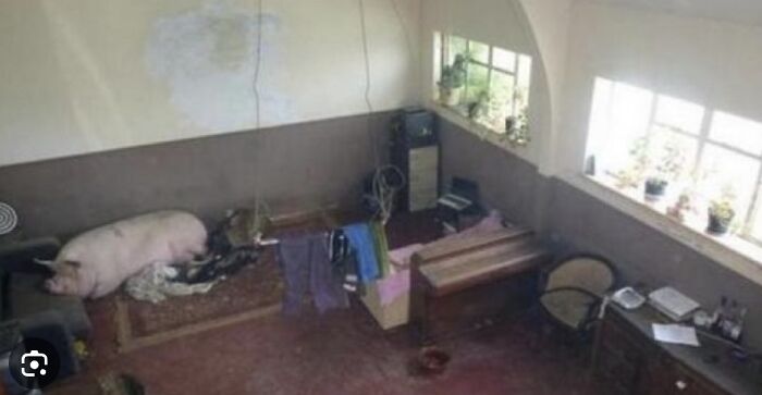 These Real Estate Fails Are So Weird, You'll Wonder If They're Real
