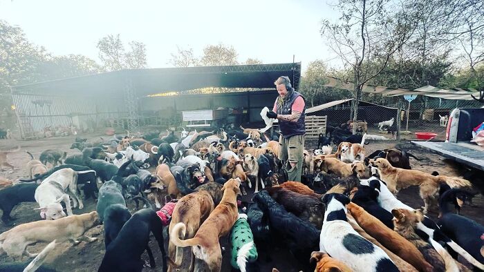 Meet the Guy Who’s Basically a Dog’s Best Friend to 600+ Pups