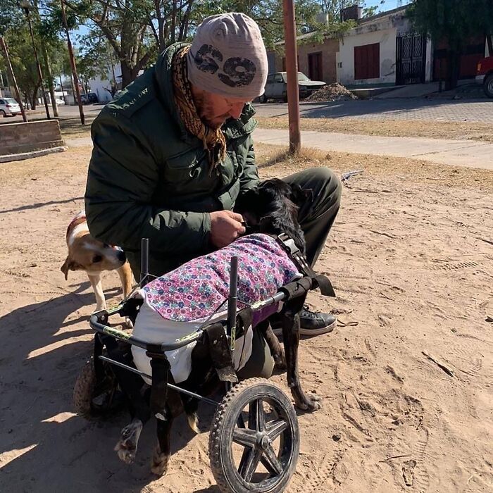 Meet the Guy Who’s Basically a Dog’s Best Friend to 600+ Pups