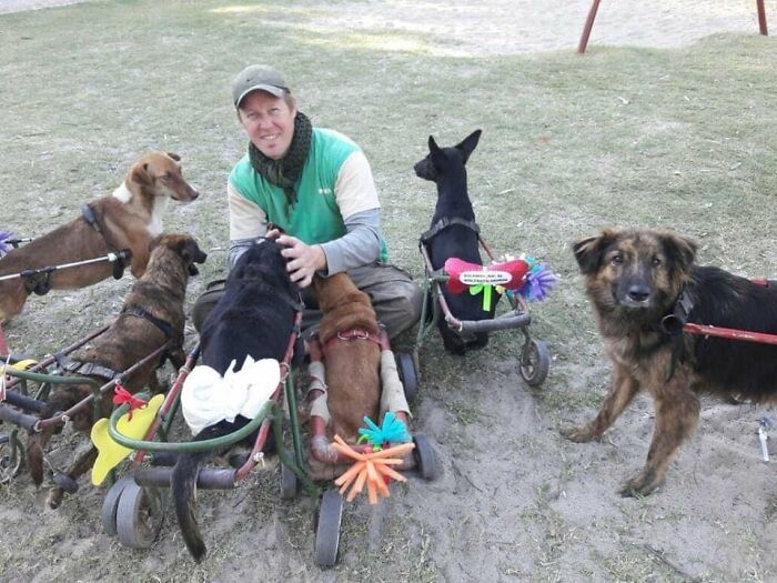Meet the Guy Who’s Basically a Dog’s Best Friend to 600+ Pups