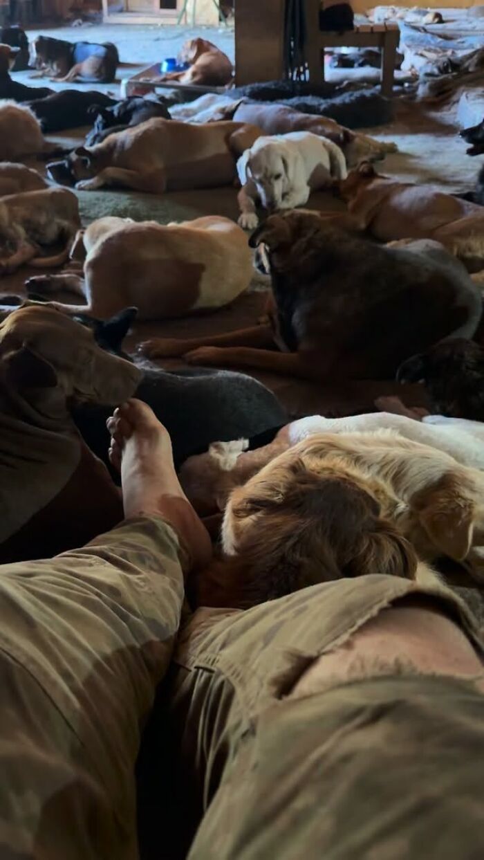 Meet the Guy Who’s Basically a Dog’s Best Friend to 600+ Pups