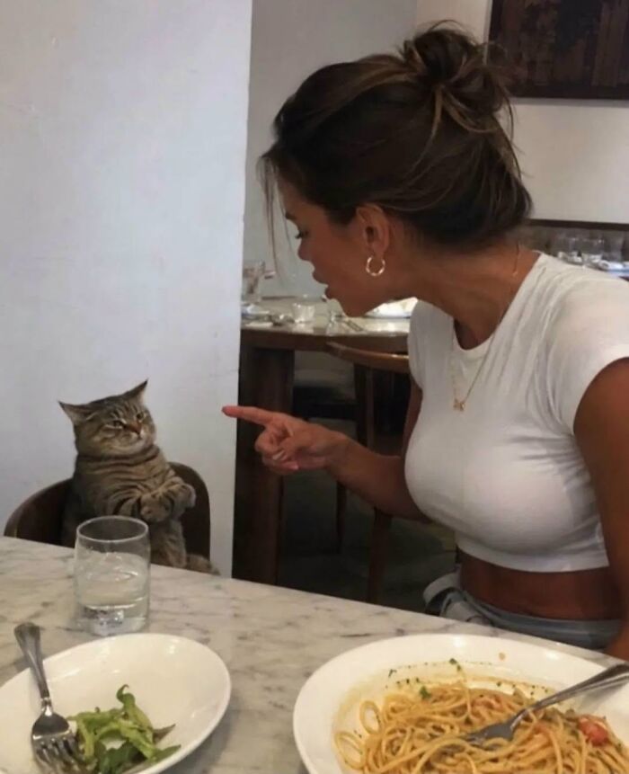 63 Cat Pics So Cute They’ll Totally Make Your Day Better