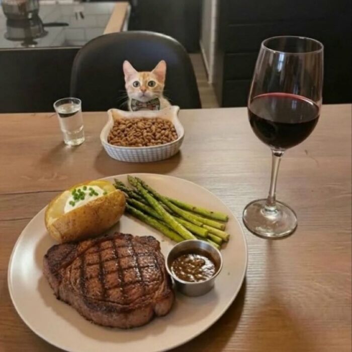 63 Cat Pics So Cute They’ll Totally Make Your Day Better