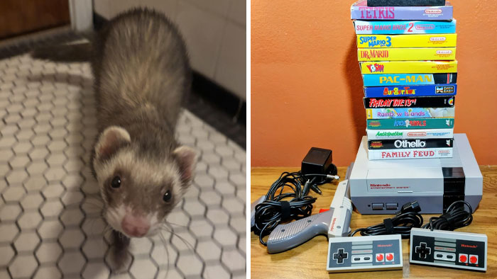 Dumpster Diving Gold! 40 Wild Finds That’ll Make You Go Woah