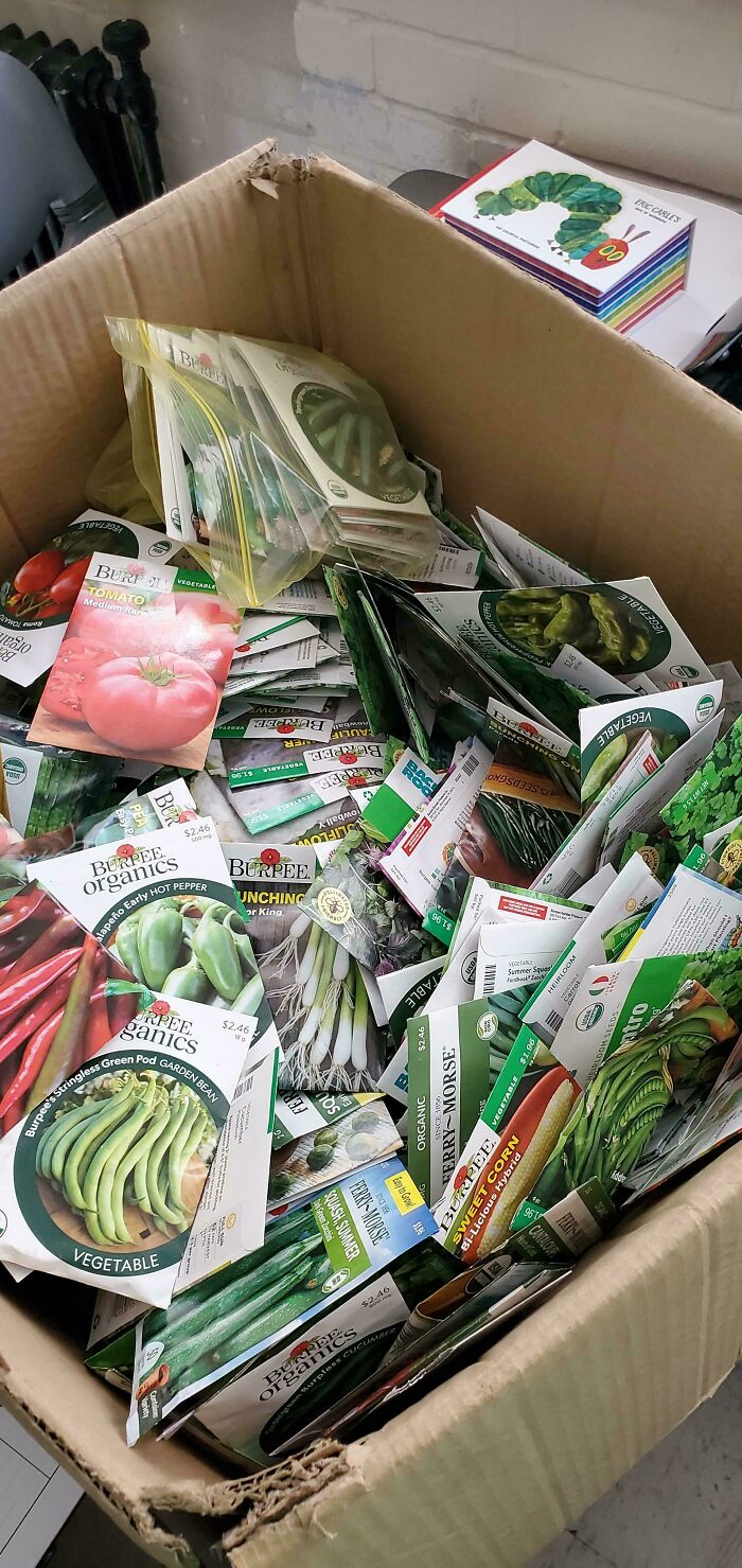 Seed Jackpot! Thousands of Fruit, Veg, and Flower Seeds Galore