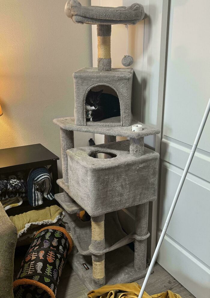 Random Apartment Curb Find—What Even Is This?